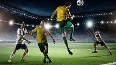 kaiyun·开云（中国）