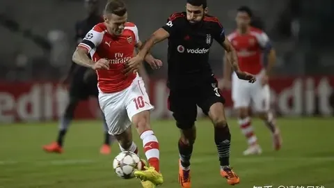 kaiyun·开云（中国）