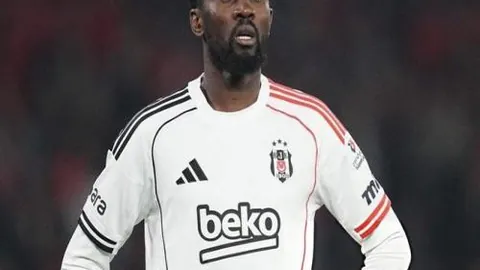 kaiyun·开云（中国）